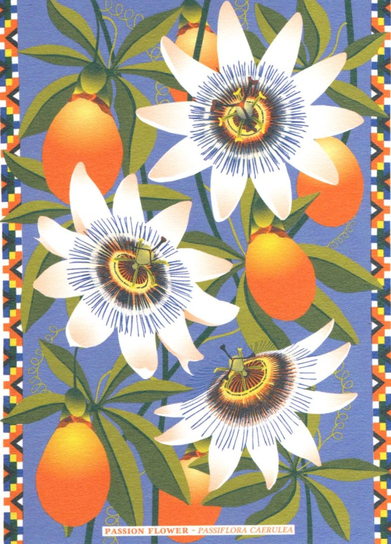 GREETING CARD Passion Flower PRINTER JOHNSON