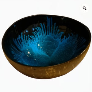 LACQUERED COCONUT BOWLS Feathered