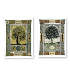 THE CELTIC TREE ORACLE CARDS Liz and Colin Murray Illustrated by Vanessa Card