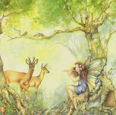 FAIRY GREETING CARD Fairy Music BONNIE HELEN HAWKINS