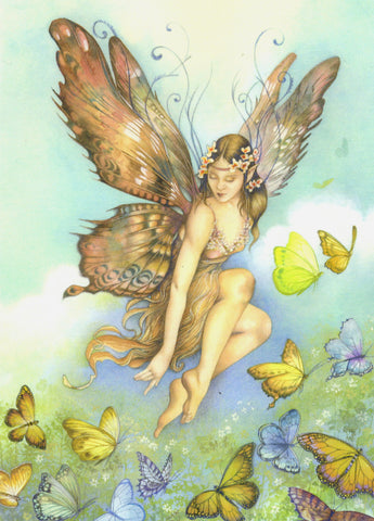 FAIRY GREETING CARD Flying Lessons BONNIE HELEN HAWKINS