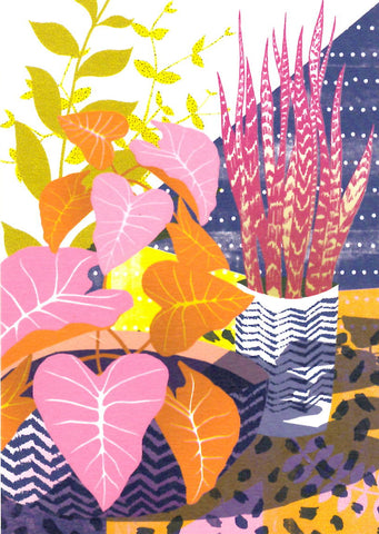 GREETING CARD House Plants PRINTER JOHNSON