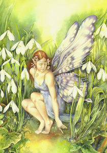 FAIRY GREETING CARD Snowdrop BONNIE HELEN HAWKINS