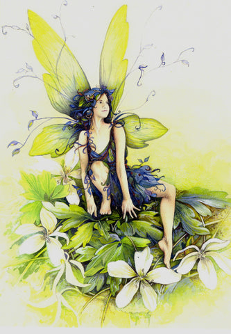 FAIRY GREETING CARD Woodland Fairy BONNIE HELEN HAWKINS