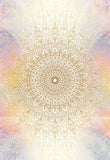 SECRET LANGUAGE OF LIGHT ORACLE DECK Denise Jarvie Illustrated by Daniel B. Holeman