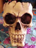 SKULL ASHTRAY FIGURE Ornament LOBO GOTHIC Bowl DISH Key Trinket HOLDER PAGAN