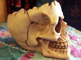 SKULL ASHTRAY FIGURE Ornament LOBO GOTHIC Bowl DISH Key Trinket HOLDER PAGAN