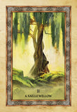 CELTIC TREE ORACLE CARDS Sharlyn Hidalgo