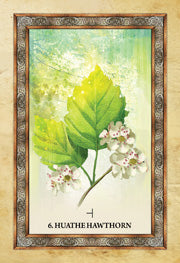 CELTIC TREE ORACLE CARDS Sharlyn Hidalgo