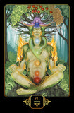 DREAMS OF GAIA TAROT CARD DECK Ravynne Phelan
