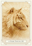 WHITE LIGHT ORACLE DECK Alana Fairchild, A. Andrew Gonzalez