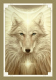 WHITE LIGHT ORACLE DECK Alana Fairchild, A. Andrew Gonzalez