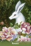 EARTH ANGELS MESSAGE CARDS Amanda Clark