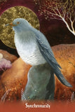 EARTH ANGELS MESSAGE CARDS Amanda Clark