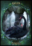 WITCHES FAMILIARS ORACLE CARDS Kate Osborne, Flavia Kate Peters, Barbara Meiklejohn-Free