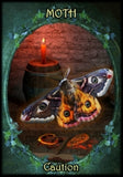 WITCHES FAMILIARS ORACLE CARDS Kate Osborne, Flavia Kate Peters, Barbara Meiklejohn-Free