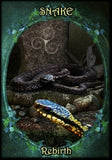 WITCHES FAMILIARS ORACLE CARDS Kate Osborne, Flavia Kate Peters, Barbara Meiklejohn-Free