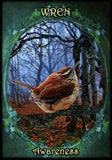 WITCHES FAMILIARS ORACLE CARDS Kate Osborne, Flavia Kate Peters, Barbara Meiklejohn-Free