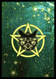 WITCHES FAMILIARS ORACLE CARDS Kate Osborne, Flavia Kate Peters, Barbara Meiklejohn-Free
