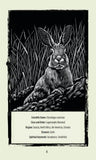 UNTAMED SPIRIT: ANIMAL ORACLE Francesca Matteoni , Rocco Lombardi