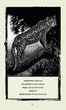 UNTAMED SPIRIT: ANIMAL ORACLE Francesca Matteoni , Rocco Lombardi