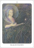 TREE ANGEL ORACLE DECK Fred Hageneder, Anne Heng