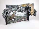 ANGELA HARDING 'Owl in Flight' 3D ADVENT CALENDAR