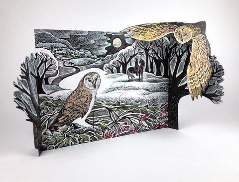 ANGELA HARDING 'Owl in Flight' 3D ADVENT CALENDAR