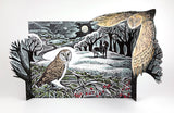 ANGELA HARDING 'Owl in Flight' 3D ADVENT CALENDAR