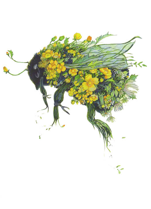 PAGAN WICCAN FINE ART GREETING CARDS Bumble Bee BIRTHDAY BLANK DM COLLECTION
