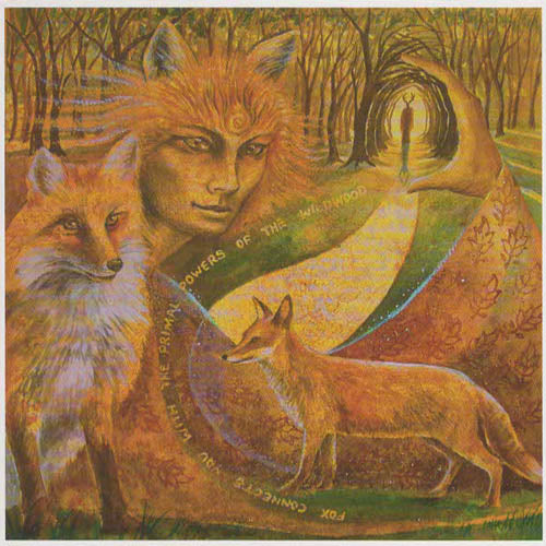 PAGAN WICCAN GREETING CARD Fox Maiden WENDY ANDREW Birthday CELTIC GODDESS