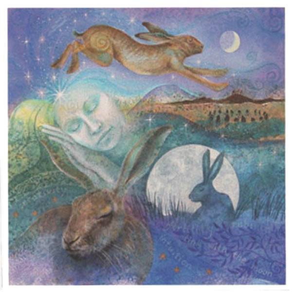 PAGAN WICCAN GREETING CARD Hare Dreaming WENDY ANDREW CELTIC GODDESS