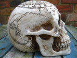 ZODIAC ASTROLOGICAL SKULL HEAD STATUE