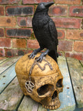 SALEM'S FAMILIAR SKULL BOX