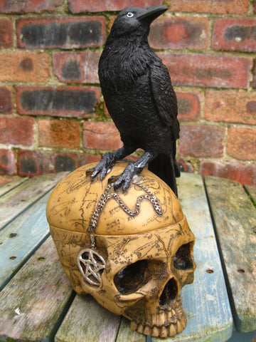 SALEM'S FAMILIAR SKULL BOX