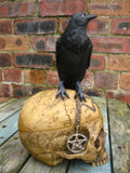 SALEM'S FAMILIAR SKULL BOX