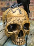 SALEM'S FAMILIAR SKULL BOX