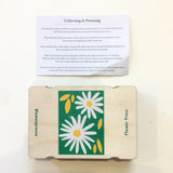POCKET STUDIO WALD FLOWER PRESS DAISY