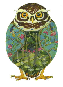 PAGAN WICCAN FINE ART GREETING CARDS Owl BIRTHDAY Animal BLANK DM COLLECTION