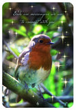 MESSAGES FROM HEAVEN COMMUNICATION CARDS Jacky Newcomb
