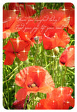 MESSAGES FROM HEAVEN COMMUNICATION CARDS Jacky Newcomb