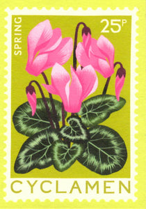 MINI GREETING CARD Cyclamen Flower PRINTER JOHNSON