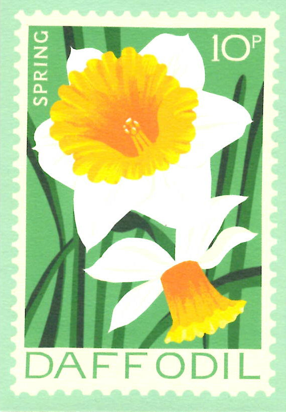 MINI GREETING CARD Daffodil Flower PRINTER JOHNSON