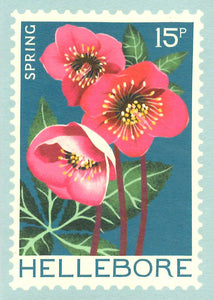 MINI GREETING CARD Hellebore Flower PRINTER JOHNSON