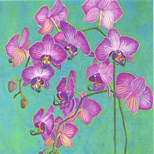 FINE ART GREETING CARD Orchids GEORGIA COX