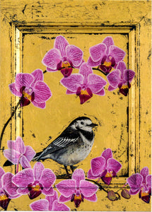 FINE ART GREETING CARD Pied Wagtail & Orchids GEORGIA COX