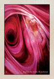 RUMI ORACLE DECK Alana Fairchild & Rassouli