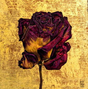 FINE ART GREETING CARD Rose 1 GEORGIA COX