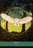 SHAMANIC MEDICINE ORACLE CARDS Yuri Leitch , Barbara Meiklejohn-Free , Flavia Kate Peters