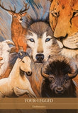 SHAMANIC MEDICINE ORACLE CARDS Yuri Leitch , Barbara Meiklejohn-Free , Flavia Kate Peters